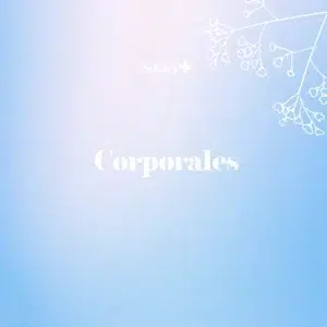 Criolipólisis Clatuu - 2 horas